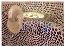 Dom na sprzedaz Bydgoszcz 