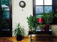 Dom na sprzedaz Solec_Kujawski 