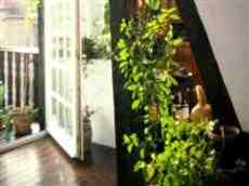 Dom na wynajem Brwinow 