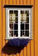 Dom na wynajem Warszawa Trzmielow