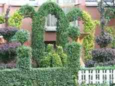 DziaLka na sprzedaz Ciechocinek Goluchowo