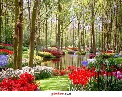 DziaLka na sprzedaz Czosnow Haldrychowice