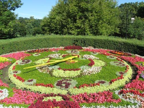 DziaLka na sprzedaz Czosnow Haldrychowice