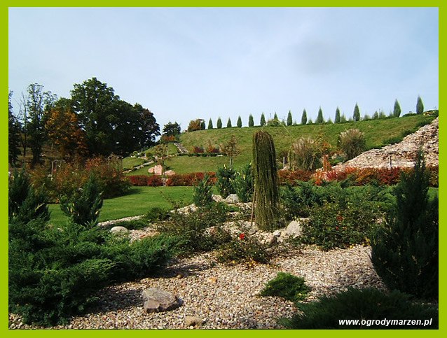 DziaLka na sprzedaz Dabrowa_Chelminska Dabrowka_Nowa