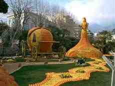 DziaLka na sprzedaz Izabelin Dalkow