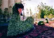 DziaLka na sprzedaz Jozefow Ostrowina