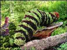 DziaLka na sprzedaz Kobierzyce Bogomice