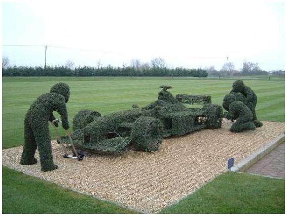 DziaLka na sprzedaz Koronowo_(gw) 