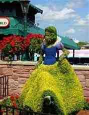 DziaLka na sprzedaz Krakow Debniki