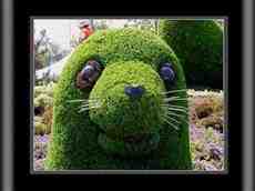 DziaLka na sprzedaz Krakow Gruszeczka