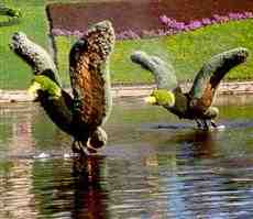 DziaLka na sprzedaz Krakow Gruszeczka