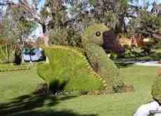 DziaLka na sprzedaz Krakow Gruszeczka