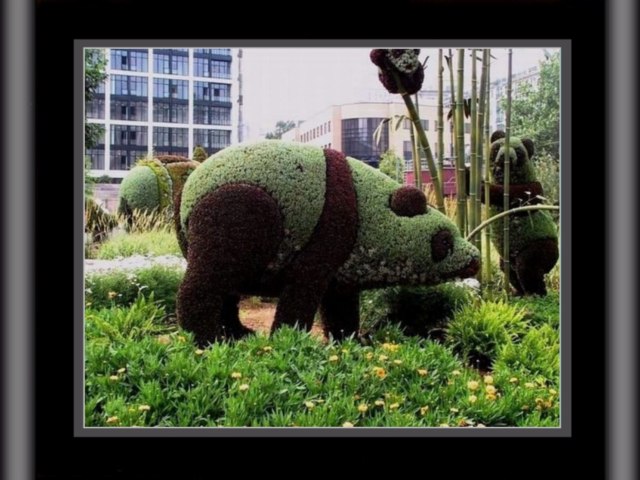 DziaLka na sprzedaz Legionowo Wszewilki