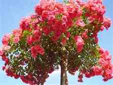 DziaLka na sprzedaz Lublin Szalejow_Dolny