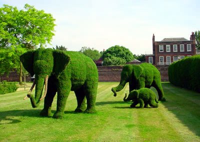 DziaLka na sprzedaz Marki Obiszow