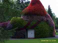 DziaLka na sprzedaz Miekinia Nowa_Wies_Niemczanska