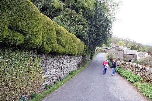 DziaLka na sprzedaz Nieporet Wziachowo_Wielkie