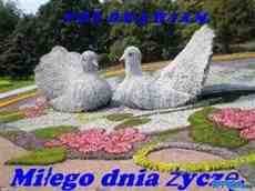 DziaLka na sprzedaz Olesnica Jazwina