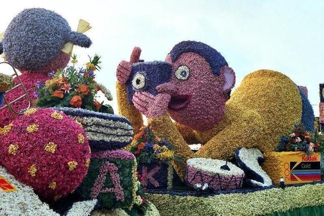 DziaLka na sprzedaz Piaseczno_(gw) Zimnica