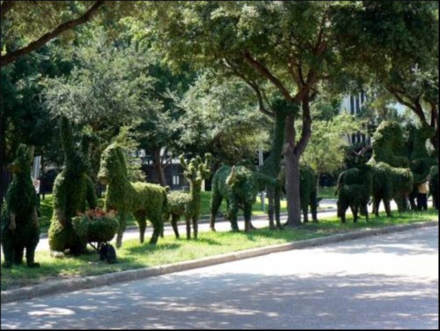 DziaLka na sprzedaz Pila Szerzawy