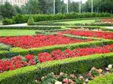 DziaLka na sprzedaz Radkow_(gw) Osieczow