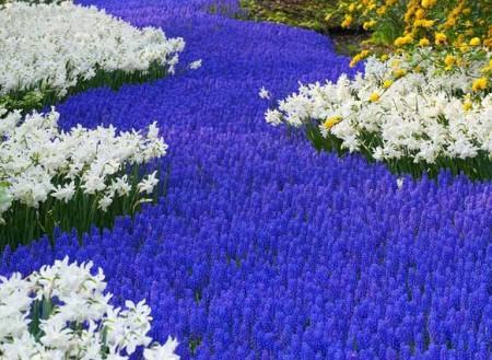 DziaLka na sprzedaz Szydlowo Wiecanowo