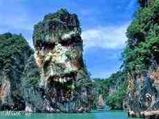 DziaLka na sprzedaz Tarnow Koszyce_Wielkie