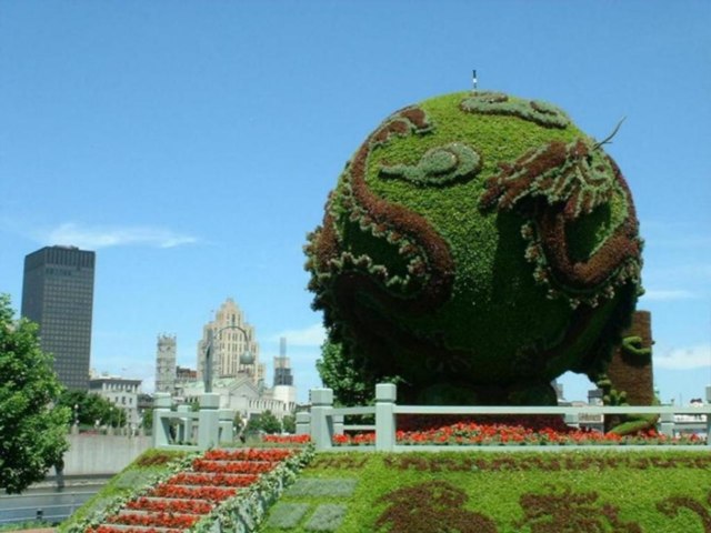 DziaLka na sprzedaz Tomaszow_Lubelski Bierkowice