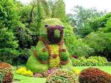 DziaLka na sprzedaz Trzcianka Oboz