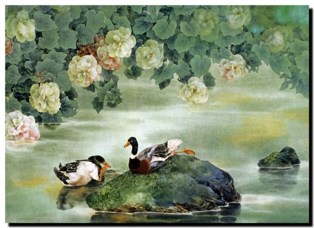 DziaLka na sprzedaz Warszawa Trzmielow