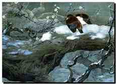 DziaLka na sprzedaz Warszawa Wilanow