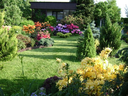 DziaLka na sprzedaz Wiazowna Swierzna