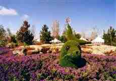 DziaLka na sprzedaz Wroclaw Kloda