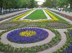 DziaLka na sprzedaz Wroclaw Kloda