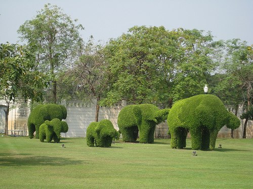 DziaLka na sprzedaz Wyszogrod_(gw) Chelstow