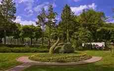 DziaLka na sprzedaz Zlotniki_Kujawskie Opalanka