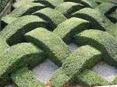 DziaLka na wynajem Warszawa Praga-Poludnie